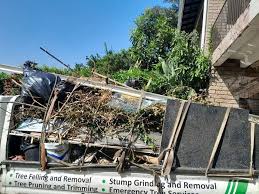 Trusted Niceville, FL Junk Removal Services Experts